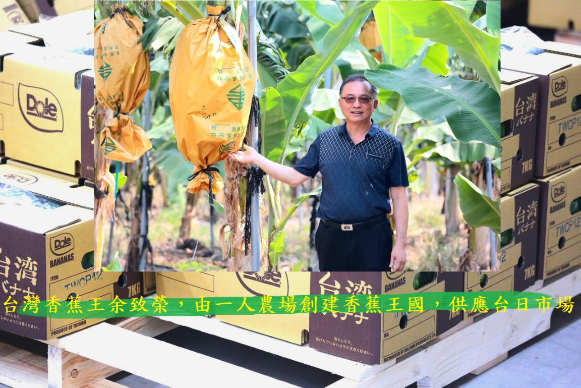 再創台灣銷日光彩，台灣香蕉王余致榮，由一人農場創建香蕉王國，供應台日市場
